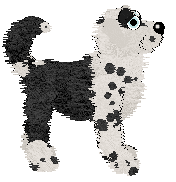 Poppyhill's Thierry of Everything — “Mugler”