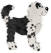 Poppyhill's Thierry of Everything — “Mugler”