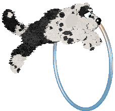 Poppyhill's Thierry of Everything — “Mugler”