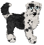 Profile image of Poppyhill's Thierry of Everything