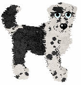 Poppyhill's Thierry of Everything — “Mugler”