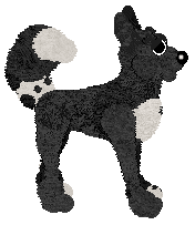 Amphigory’s Black Malice — “Blight”