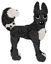 Amphigory’s Black Malice — “Blight”