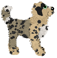 Poppyhill/FK's Haute Dog Couture — “Mizrahi”