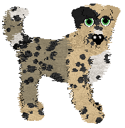 Poppyhill/FK's Haute Dog Couture — “Mizrahi”