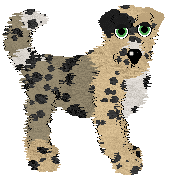 Poppyhill/FK's Haute Dog Couture — “Mizrahi”