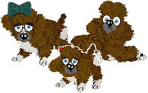 Profile image of Cargo/Amphigory’s Polka Pawty