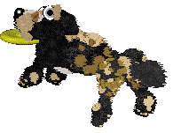 Funfetti Sundays in Newfoundland at Perfume — “Jiggs”