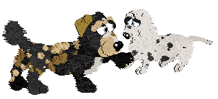 Funfetti Sundays in Newfoundland at Perfume — “Jiggs”