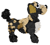 Funfetti Sundays in Newfoundland at Perfume — “Jiggs”