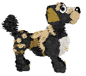 Funfetti Sundays in Newfoundland at Perfume — “Jiggs”