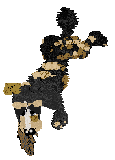 Funfetti Sundays in Newfoundland at Perfume — “Jiggs”