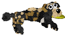 Funfetti Sundays in Newfoundland at Perfume — “Jiggs”