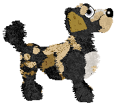 Funfetti Sundays in Newfoundland at Perfume — “Jiggs”