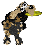 Funfetti Sundays in Newfoundland at Perfume — “Jiggs”