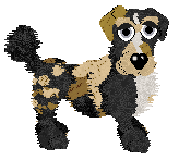 Funfetti Sundays in Newfoundland at Perfume — “Jiggs”