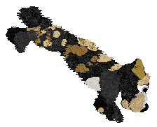 Funfetti Sundays in Newfoundland at Perfume — “Jiggs”