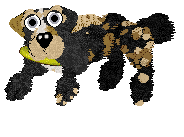 Funfetti Sundays in Newfoundland at Perfume — “Jiggs”