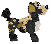 Funfetti Sundays in Newfoundland at Perfume — “Jiggs”