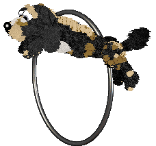 Funfetti Sundays in Newfoundland at Perfume — “Jiggs”