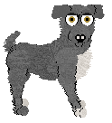 Chachke's Cabbage Patch Dog — “Snausage”