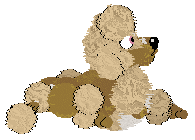 Poppyhill's Captured By Cassini — “Saturnalia”