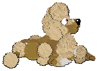 Profile image of Poppyhill's Captured By Cassini