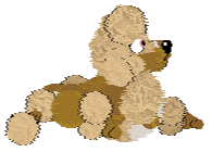 Poppyhill's Captured By Cassini — “Saturnalia”