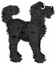 Amenity's Start Of It All — “Debutante”