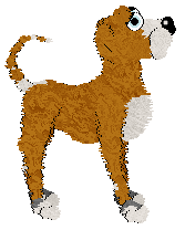 Boheme's Empire Wide & Glorious — “Dallas Star”