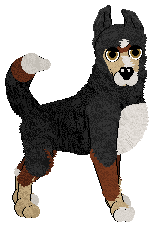 Zan Hunter's Heart — “Graham”