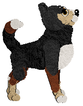 Zan Hunter's Heart — “Graham”