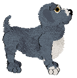 EC Blue Pineapple Smoke — “Houka”