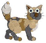 Zyphire's Over My Persimmon — “Huckleberry”