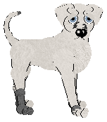 360's The Name At the Top of Your List — “Envi”