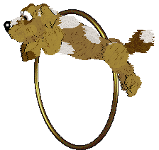 Funfetti's Southern Signature — “Pecan”