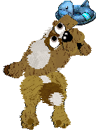 Funfetti's Southern Signature — “Pecan”