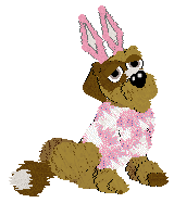 Funfetti's Southern Signature — “Pecan”