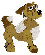 Funfetti's Southern Signature — “Pecan”