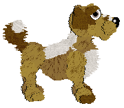 Funfetti's Southern Signature — “Pecan”