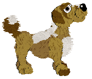 Funfetti's Southern Signature — “Pecan”