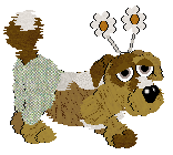 Funfetti's Southern Signature — “Pecan”