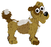 Funfetti's Southern Signature — “Pecan”