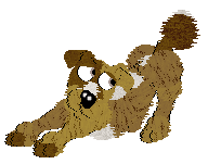 Funfetti's Southern Signature — “Pecan”