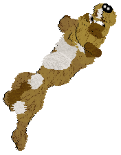 Funfetti's Southern Signature — “Pecan”