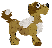 Funfetti's Southern Signature — “Pecan”