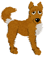 Medusa's Orange & Clove Over Pine — “Orange Peel”