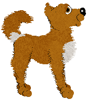 Medusa's Orange & Clove Over Pine — “Orange Peel”