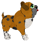 Medusa/FDL's Singing Loud for All to Hear — “Buddy”