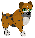 Medusa/FDL's Singing Loud for All to Hear — “Buddy”